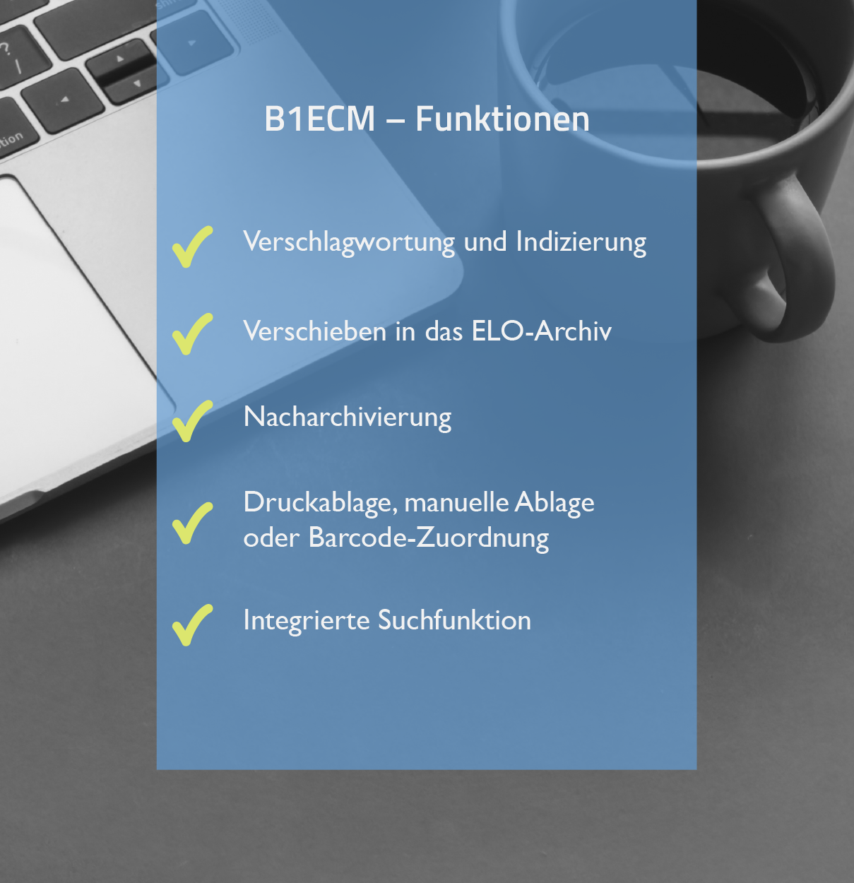 B1ECM Funktionen