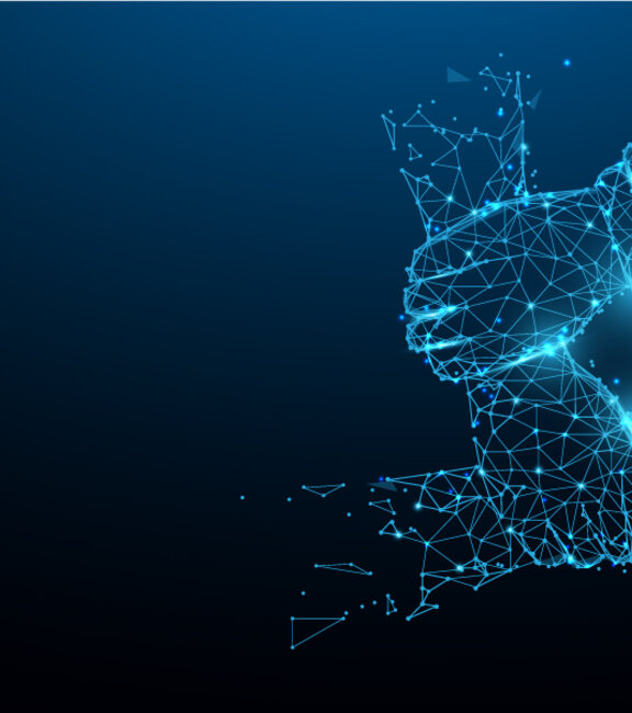 Alt Text for Picture Tag