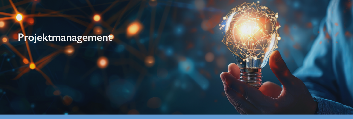 SAP_Business_One_Projektmanagement